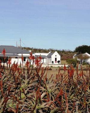 IMG_20200417_155923_1595255991