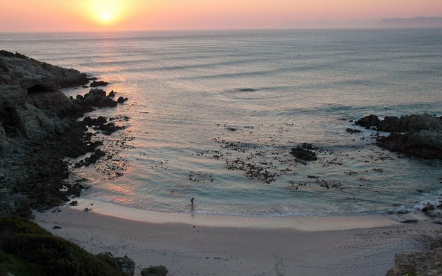 Gansbaai_Beaches_18__1603106006