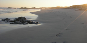 Pearly_Beach_2_1512563645_1603106007