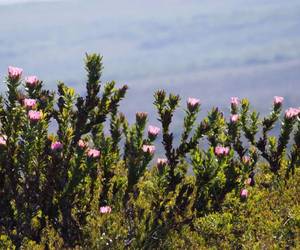 Birds of a feather, flock together