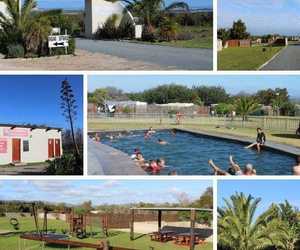 Opening Thursday, 6 August 2020