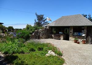 Opening Monday, 3 August 2020