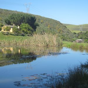 13392074_1038289126219652_6877186214619177041_o_1596197354