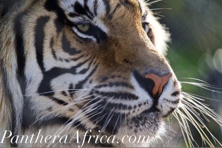 116790498_3313872778697624_1935236777756310093_n_1596198039