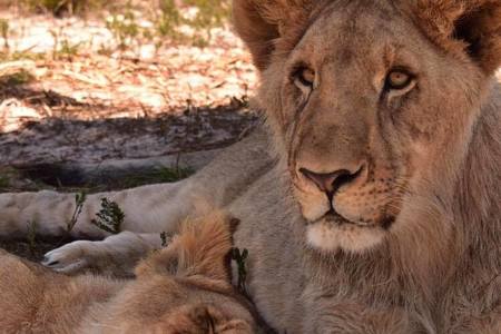 116911134_3313872798697622_7838035363830711956_o_1596198038