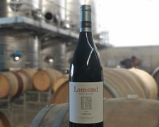 Shiraz SA Top 12 Winner!