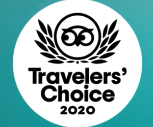 2020 Travelersâ€™ Choice Award-Winner