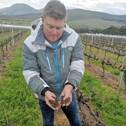 Shiraz behind the scenes