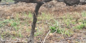 116692122_4167001456674444_8034362113481656970_o_1596783785