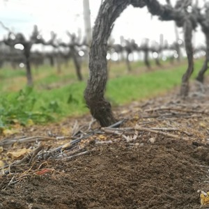 116877814_4167001226674467_263971373554677004_o_1596783784