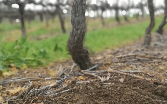 116877814_4167001226674467_263971373554677004_o_1596783784