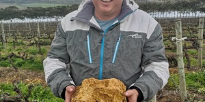 116901001_4167001333341123_1052726708156305874_o_1596783785