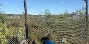 117316974_3342554605829441_7133342705260888892_o_1597131011