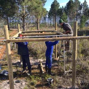 117442686_3342554679162767_5371615819270745619_o_1597131010