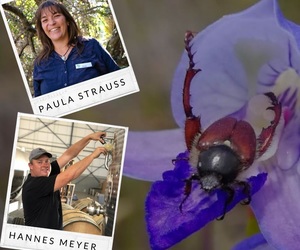 Wine & Wildlife - Insects & White Blends - 13 August 2020