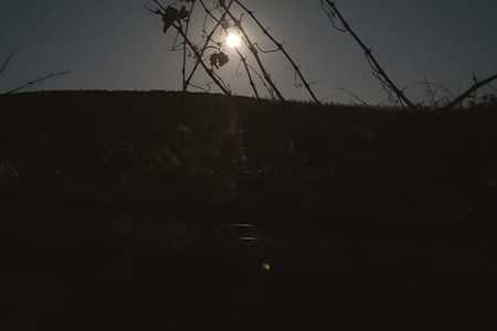 WhatsApp_Image_2020_08_13_at_15.20.17_1597383801