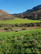 News fromÂ Raka Wines