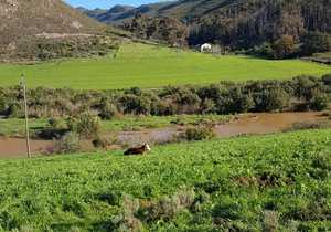 News fromÂ Raka Wines