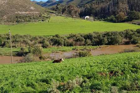 WhatsApp_Image_2020_08_13_at_15.40.56_1597383800