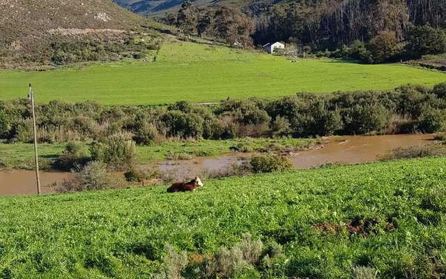 WhatsApp_Image_2020_08_13_at_15.40.56_1597383800