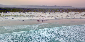 Gansbaai & Pearly Beach Horse Trails