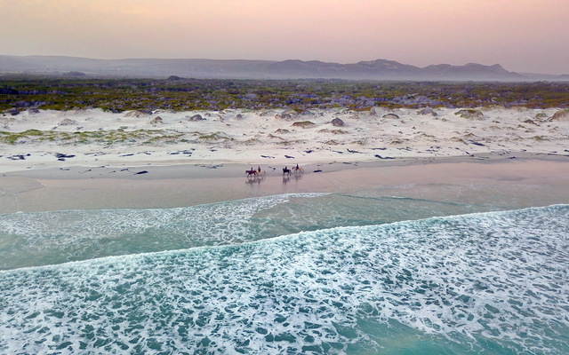 Gansbaai & Pearly Beach Horse Trails