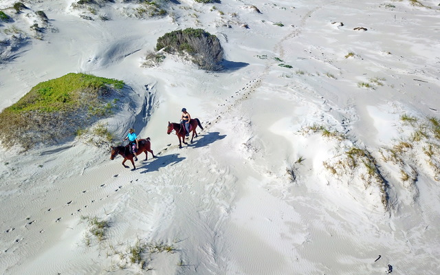 Gansbaai & Pearly Beach Horse Trails