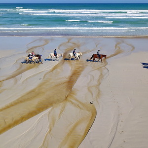Gansbaai & Pearly Beach Horse Trails
