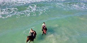 Gansbaai & Pearly Beach Horse Trails