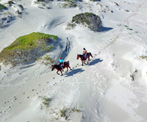 TripAdvisor, Travelers Choice Award