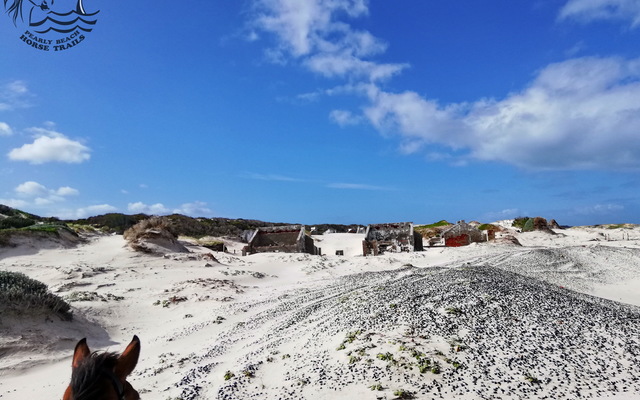Gansbaai & Pearly Beach Horse Trails