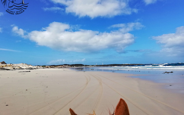 Gansbaai & Pearly Beach Horse Trails