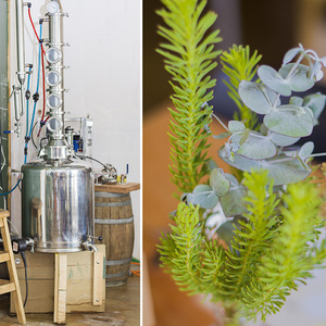 stanford_restaurants_jolly_rooster_distellery_1555567362_1598267950