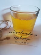 Health Benefits of Kombucha