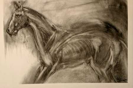 WhatsApp_Image_2020_08_26_at_07.00.12_1__1598420543