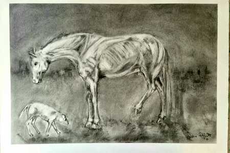 WhatsApp_Image_2020_08_26_at_07.00.35_1598420426