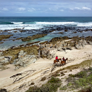 Gansbaai & Pearly Beach Horse Trails