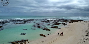 Gansbaai & Pearly Beach Horse Trails