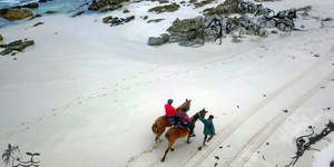 Gansbaai & Pearly Beach Horse Trails