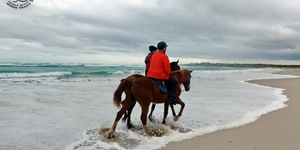 Gansbaai & Pearly Beach Horse Trails