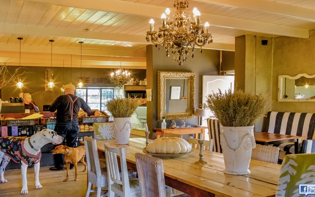 117893061_3147628078619999_825056062372091977_o_1598524941