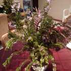 Flowers - Hairwave - Agulhas