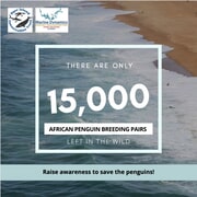 Partner With Global Leadership Adventures