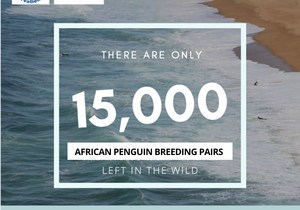 Partner With Global Leadership Adventures