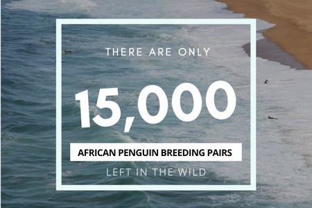 118701090_10158645615232520_523344115768975386_o_1599203824