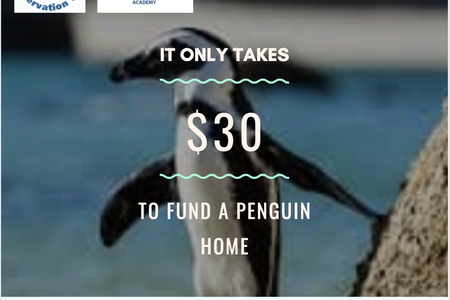 118801022_10158645615362520_6970387648371458675_n_1599203825