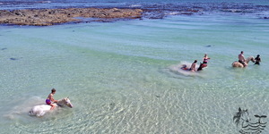 Gansbaai & Pearly Beach Horse Trails