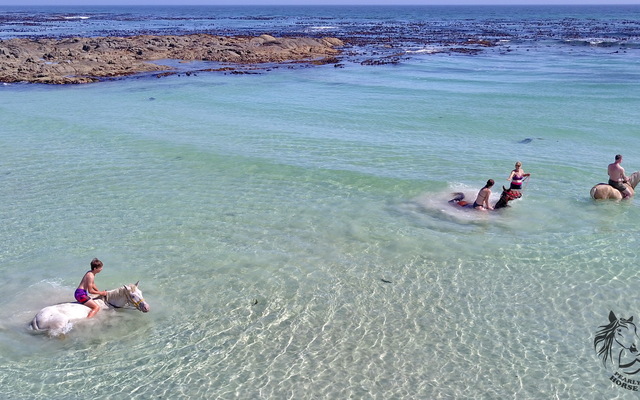 Gansbaai & Pearly Beach Horse Trails