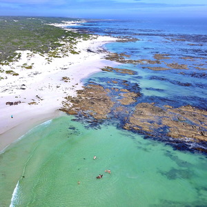 Gansbaai & Pearly Beach Horse Trails