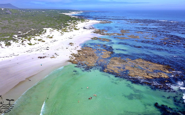 Gansbaai & Pearly Beach Horse Trails
